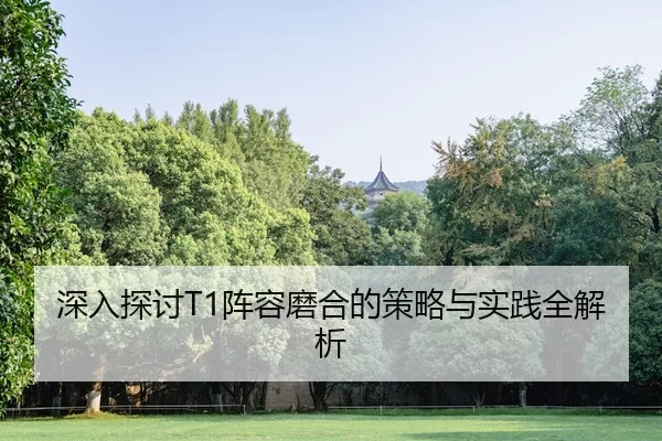 深入探讨T1阵容磨合的策略与实践全解析
