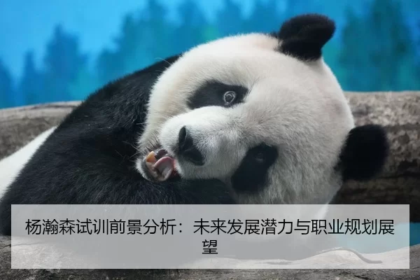 杨瀚森试训前景分析：未来发展潜力与职业规划展望